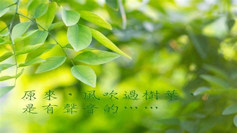 風吹過|風吹過的英文單字，風吹過的英文是什麽